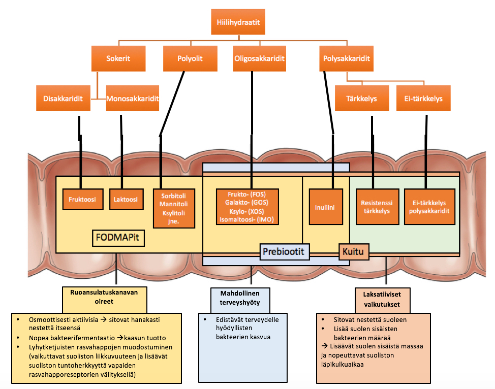 imeytymattomat-hiilarit