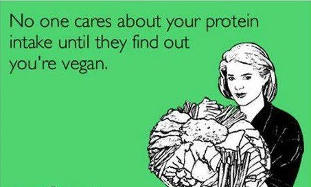 vegan protein
